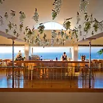 Amus & 5*